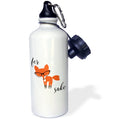 21-ounce Water Bottle Q168