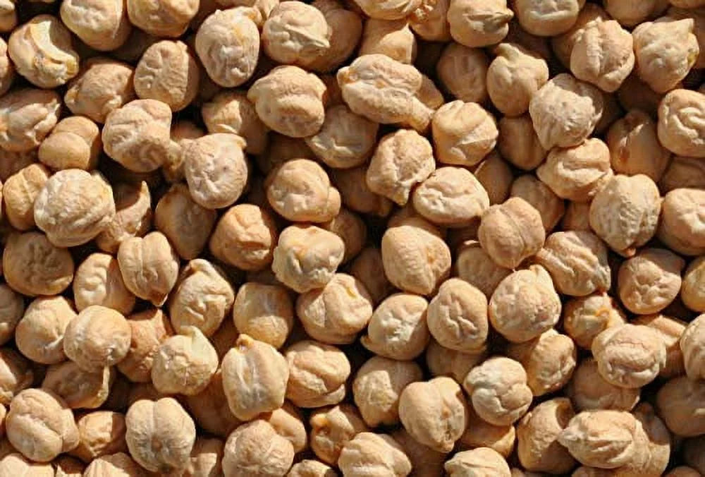 10 lbs All Natural Non-GMO Garbanzo Beans M4622