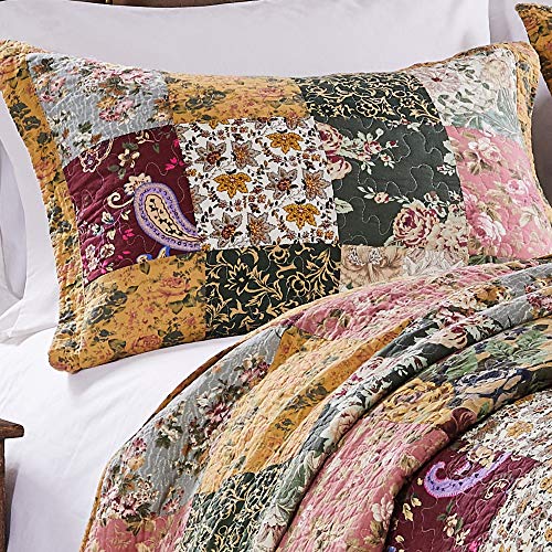 Natural 3-Piece Full/Queen Cotton Quilt Set N368463