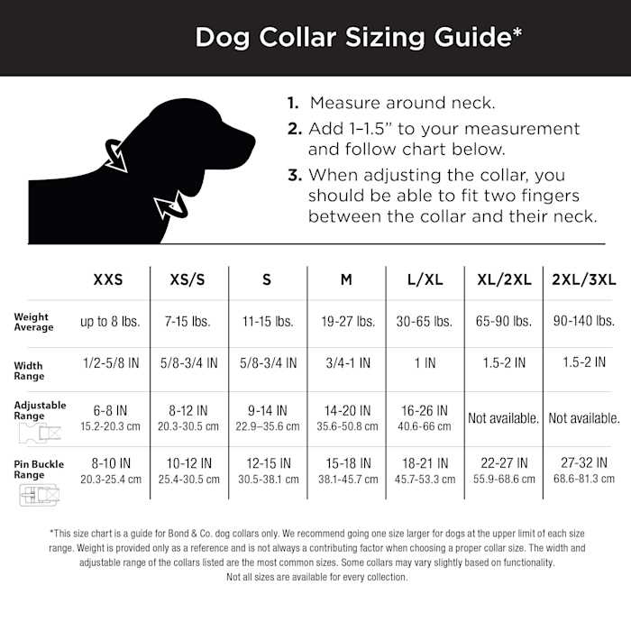 Dog Lead Y7478