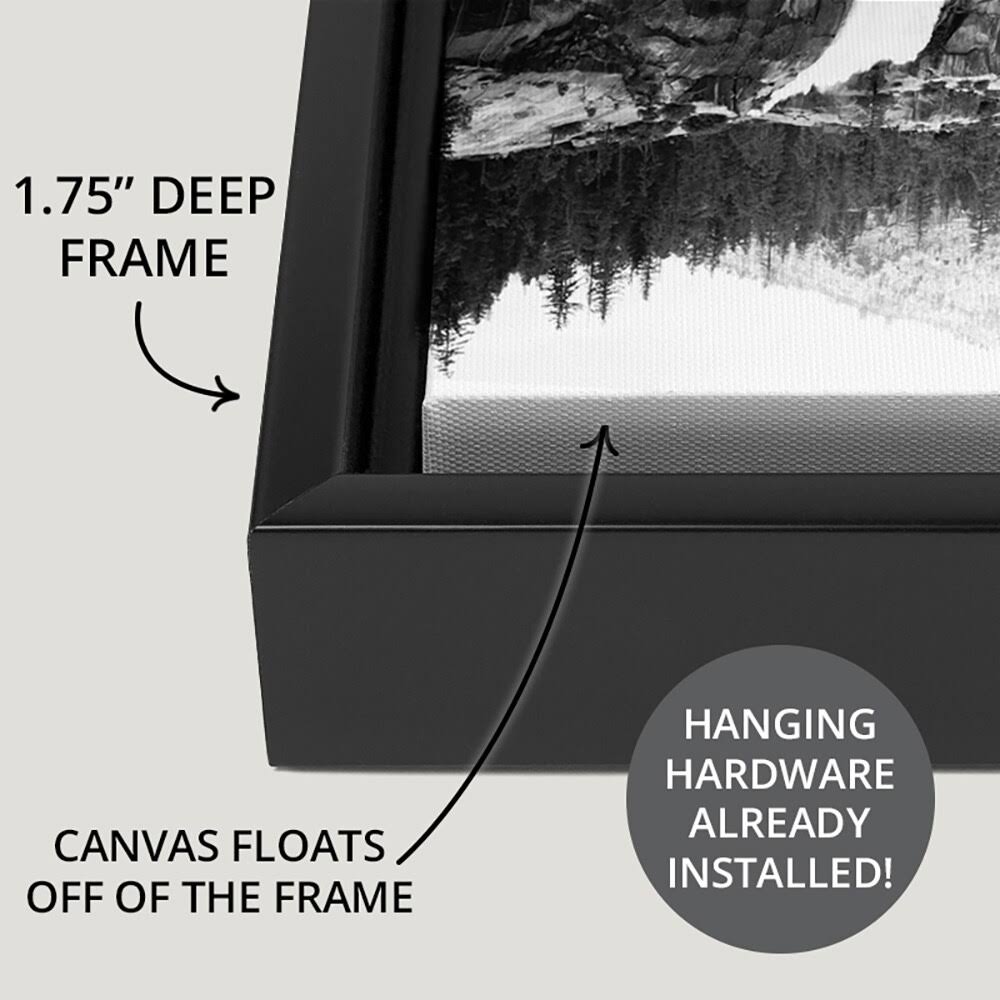 Black Float Frame Canvas Art - 24 x 36 S73735