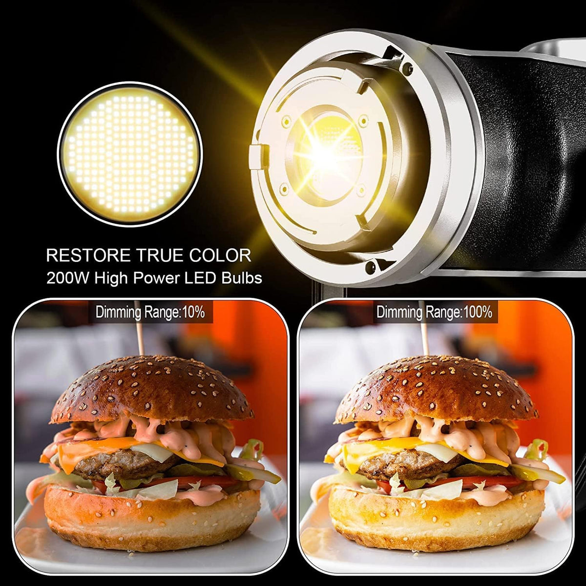 200W Bi-Color LED Video Light with Softbox Z443