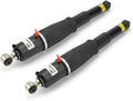 Rear Air Shock Suspension Absorber Struts T5011
