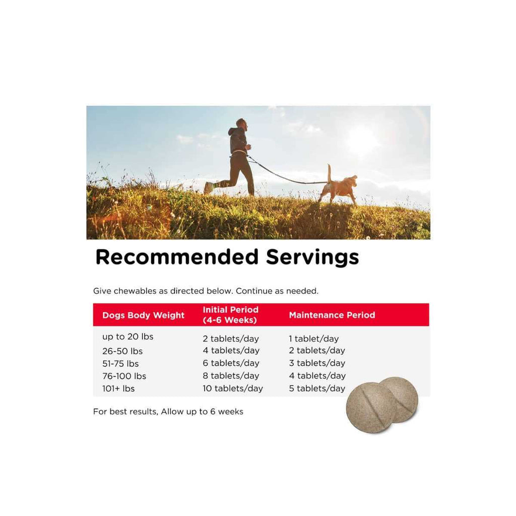 Joint Action Formula for Dogs G734682