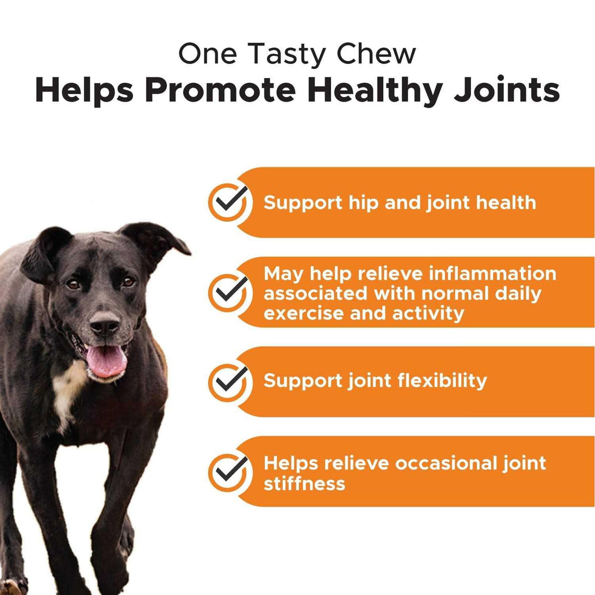 Dog Hip + Joint Health Turmeric Chews O469629