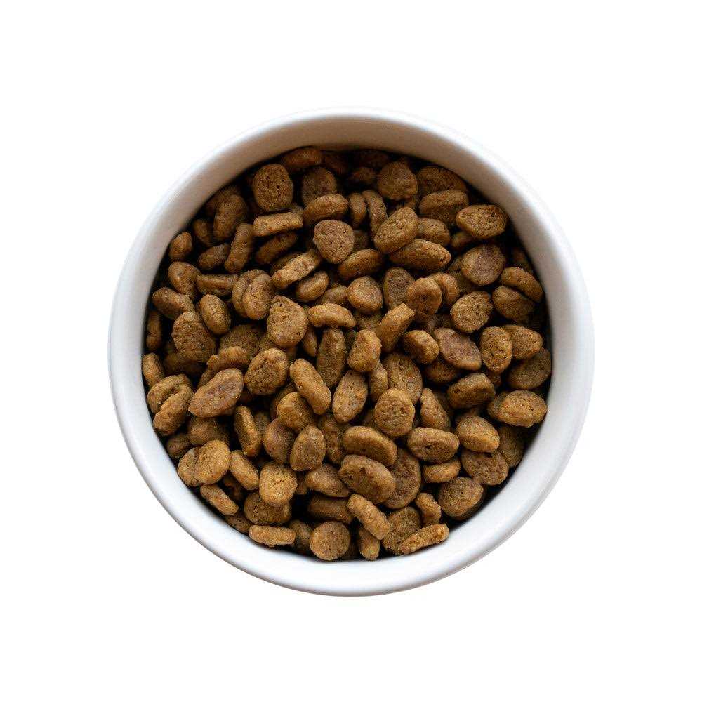 Senior Cat Food L541