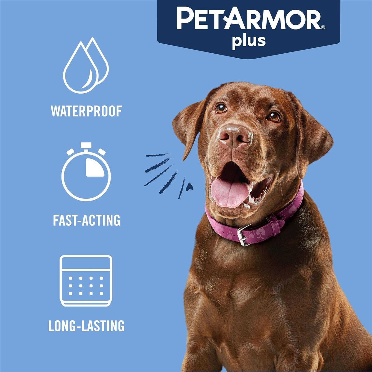 Flea Tick Treatment for Dogs O560929