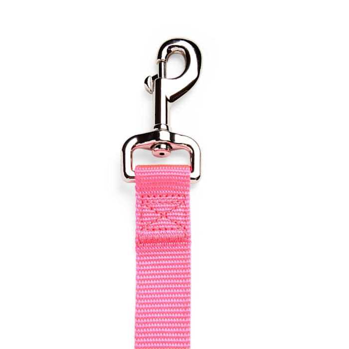 Dog Lead Y7478
