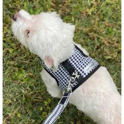 Gingham Dog Harness Vest H34083
