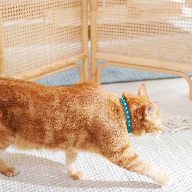 Velvet Cat Collar V1305