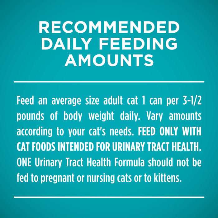 Beef & Liver Recipe Pate Wet Cat Food Y464
