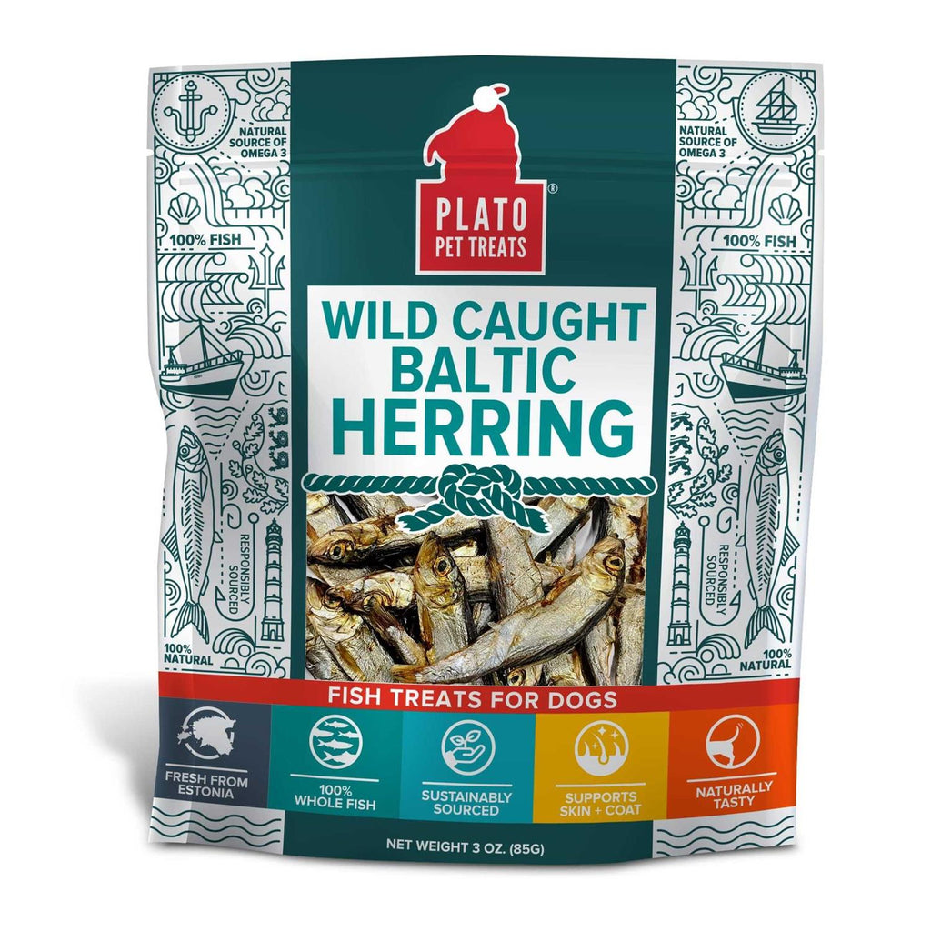 Baltic Herring Dog P9536
