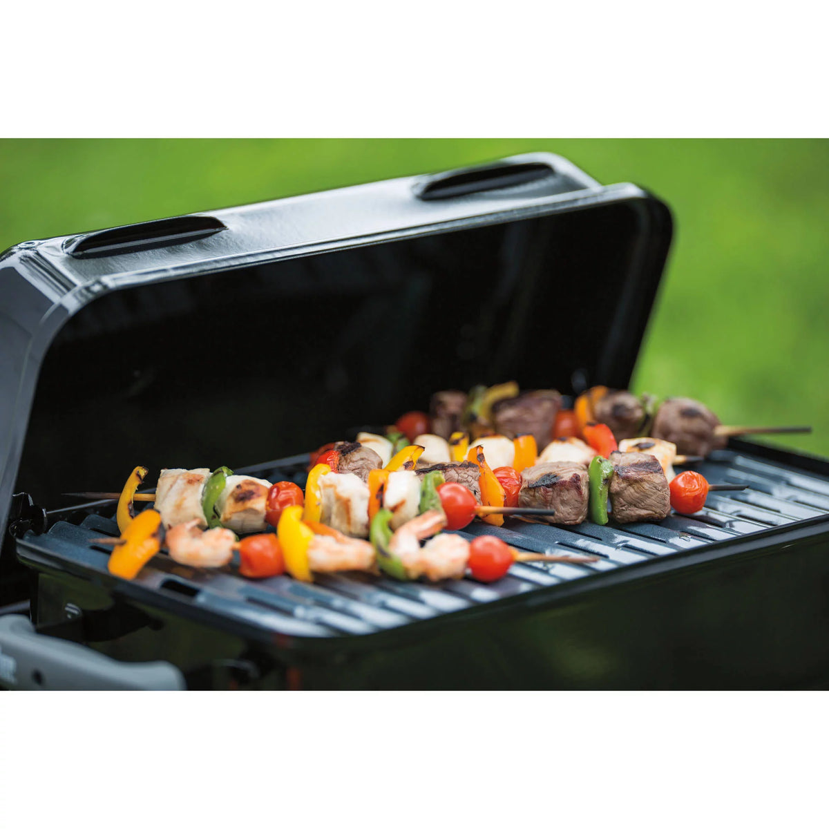 1-Burner Gas Grill R8276