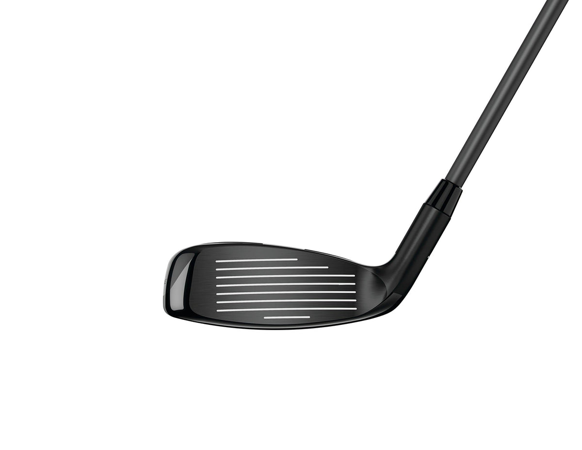Rogue Hybrid S558428