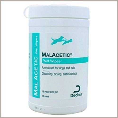 Wet Wipes 100ct I591735