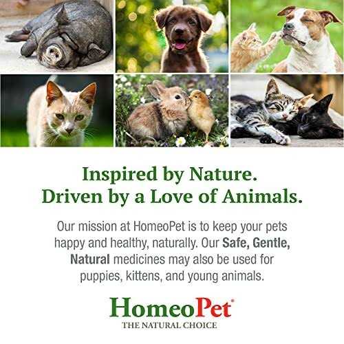 Worm Clear Pet Supplies Y769651