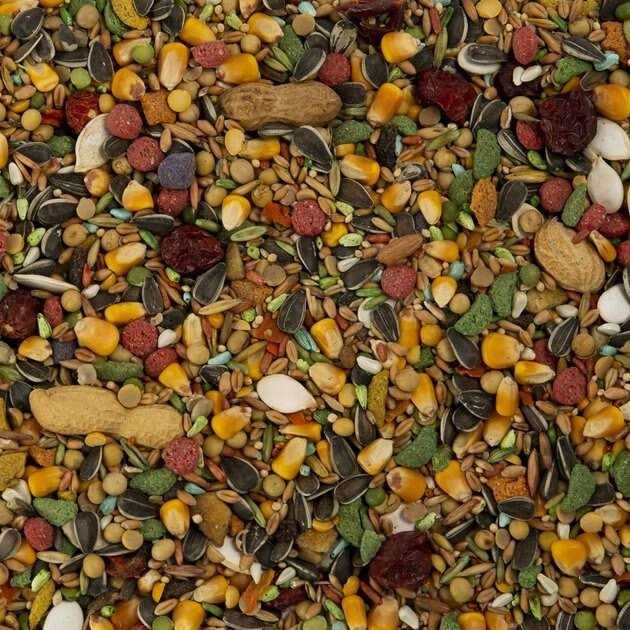 Parrot Bird Food C189759