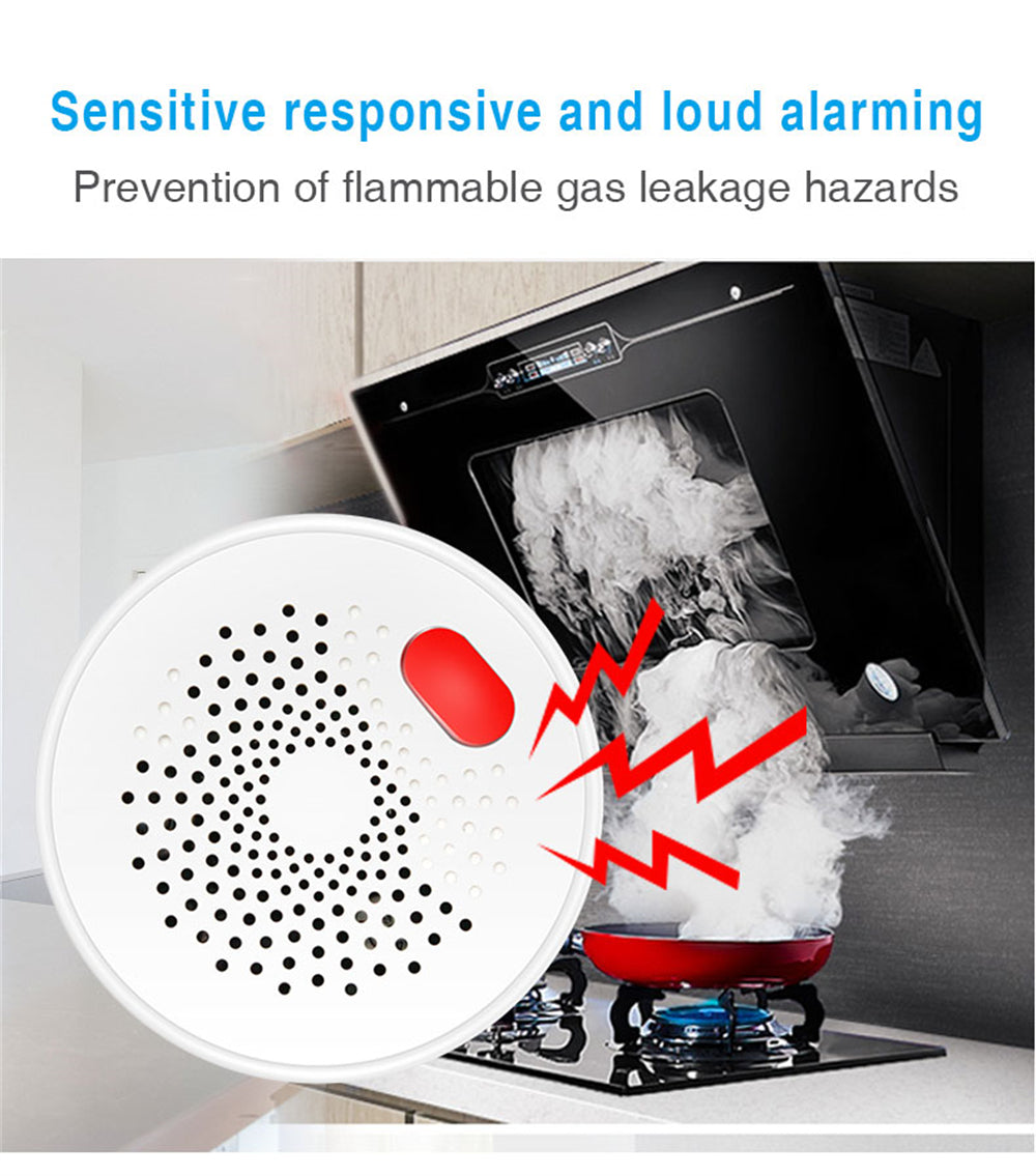 Tuya WiFi Gas Alarm N67187