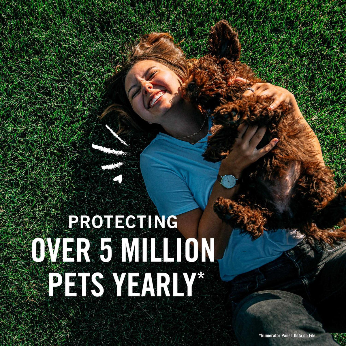 Flea Tick Treatment for Dogs O560929