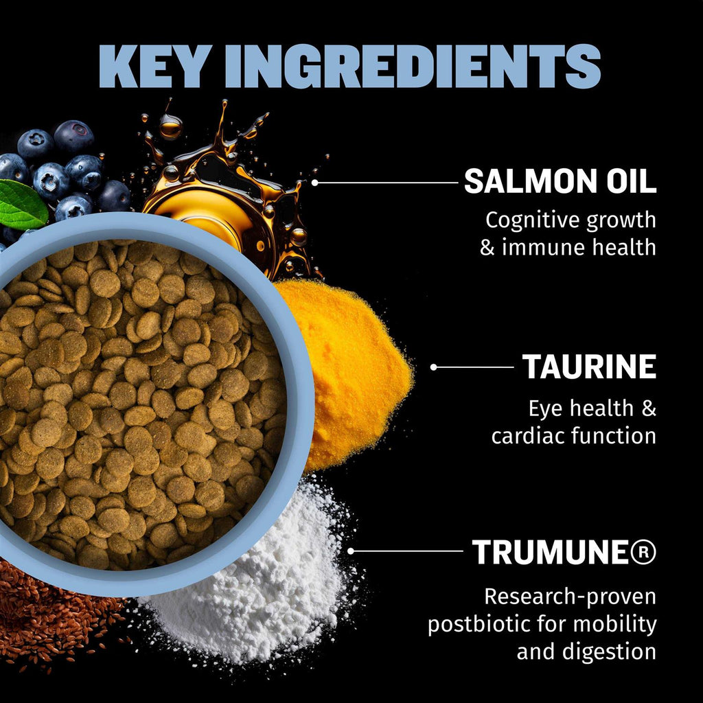 Small Breed Dog Food T613859