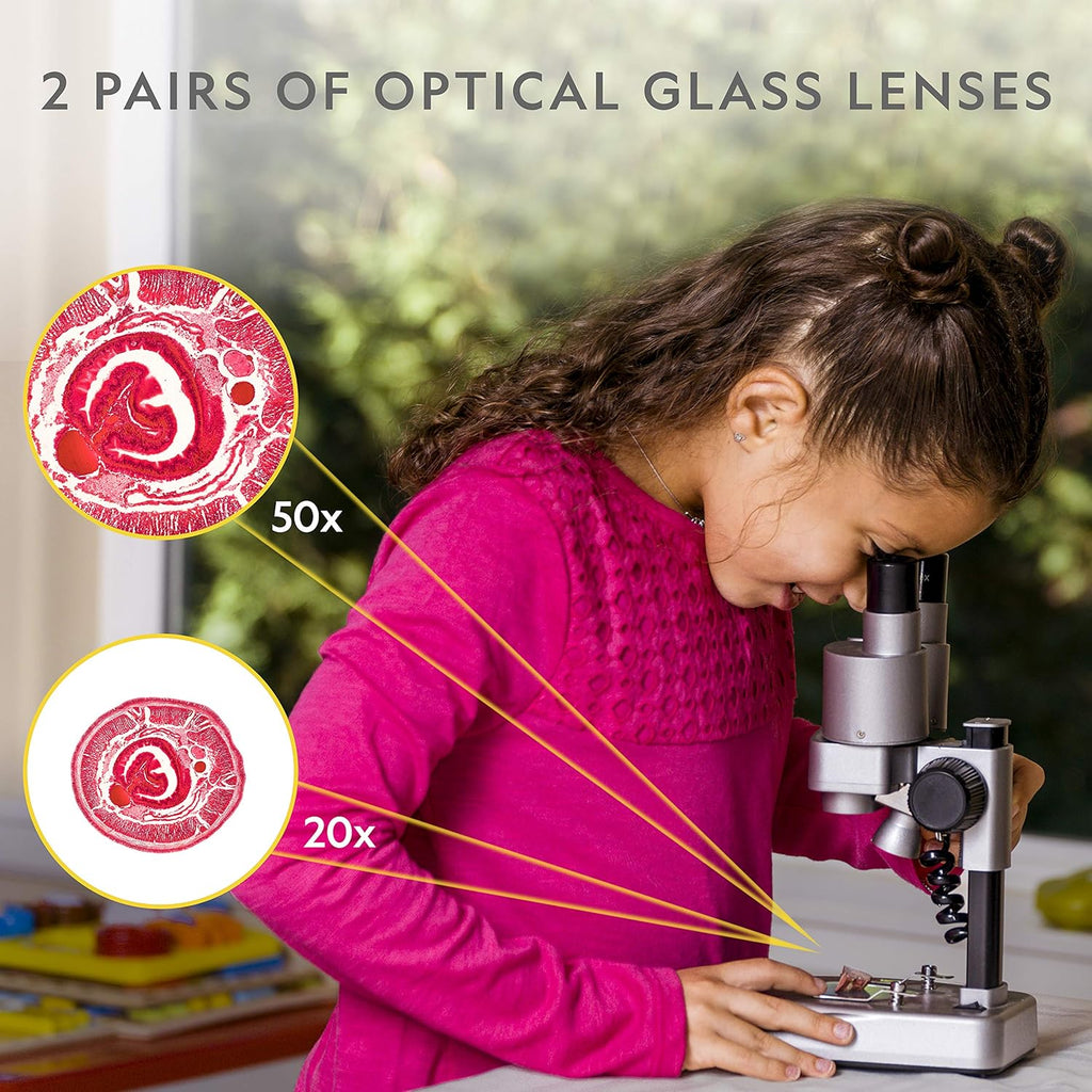 Microscope Science Kit with 35 Slides and Covers L4551