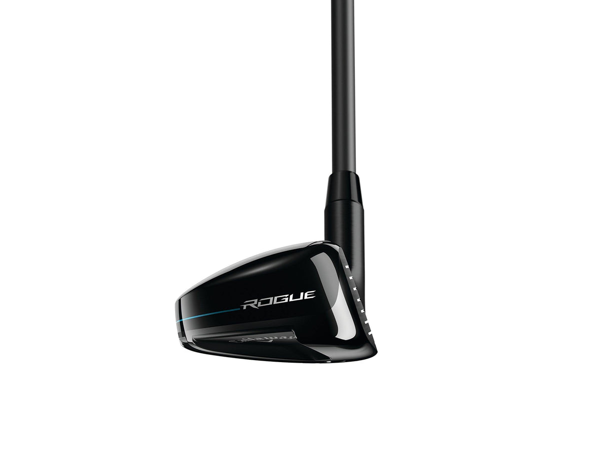 Rogue Hybrid S558428